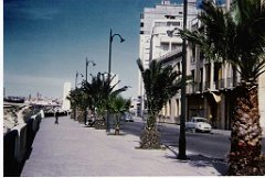 ORAN 1950 BD FRONT DE MER 03